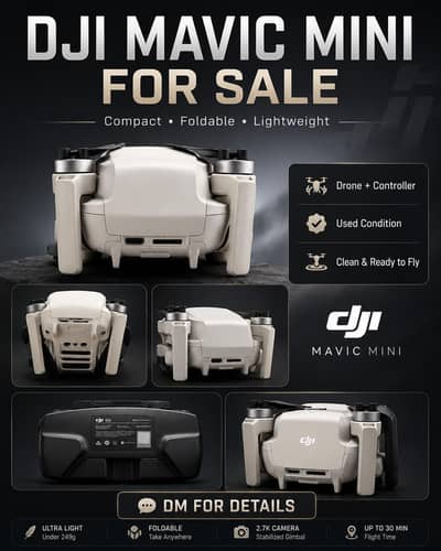 mavic mini dji