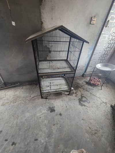 bird cage