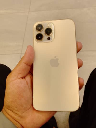 Apple iPhone 13 Pro Max