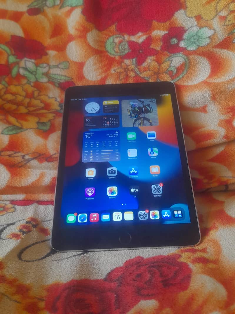 ipad mini 4 12
