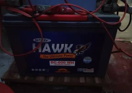 hawk 600 model 80 amber