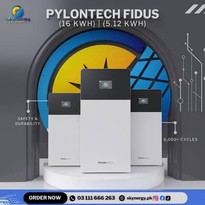 Pylontech Fidus Lithium Batteries (5kWh & 16kWh) | Skynergy Solutions