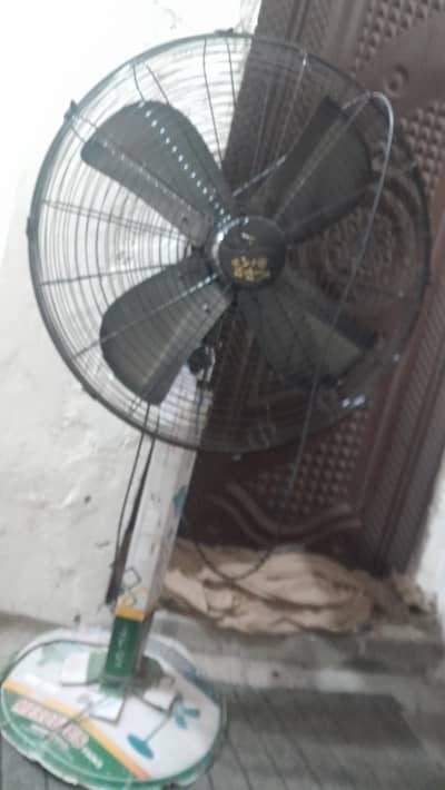 Mercedes fan