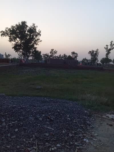 2 Kanal Prime Residential Plot For Sale In Government Cooperative Officers Society