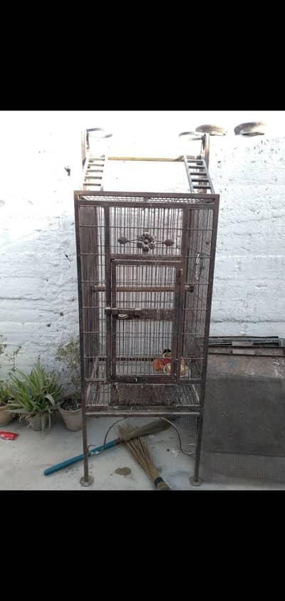 cage  Grey parrots macaw cockatoo I other purposes