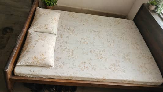 bed bister