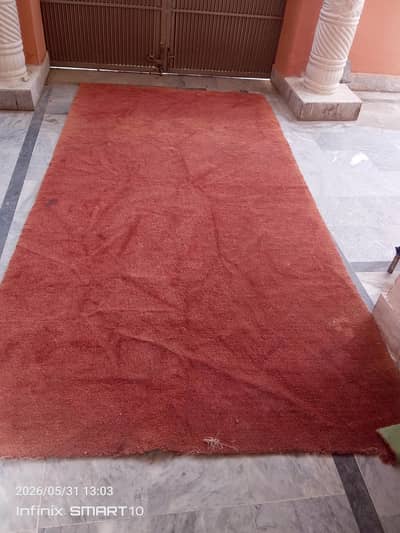 carpet