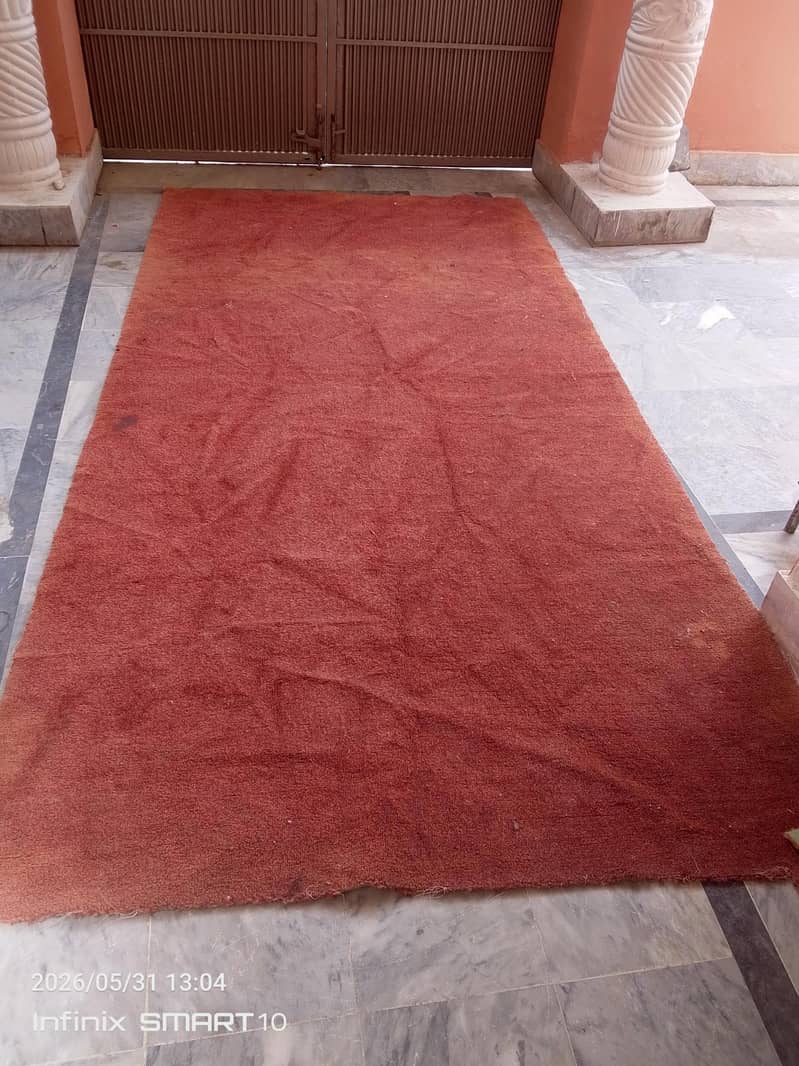 carpet 1