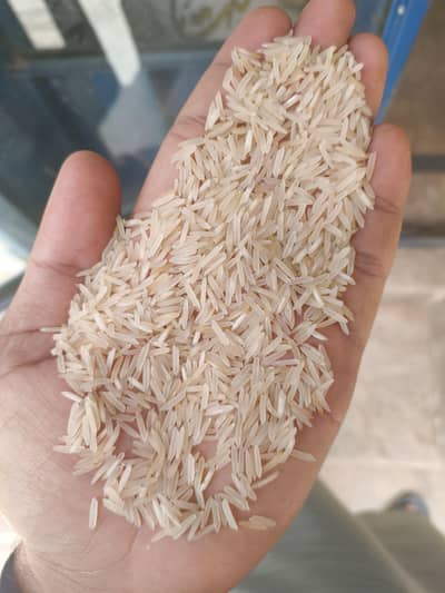 kainat steam rice 1121
