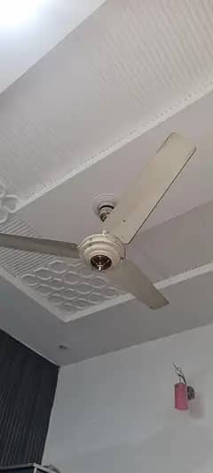 ceiling fans in good condition