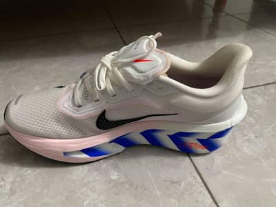 Nike zoom fly 6