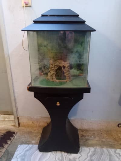 Fish aquarium