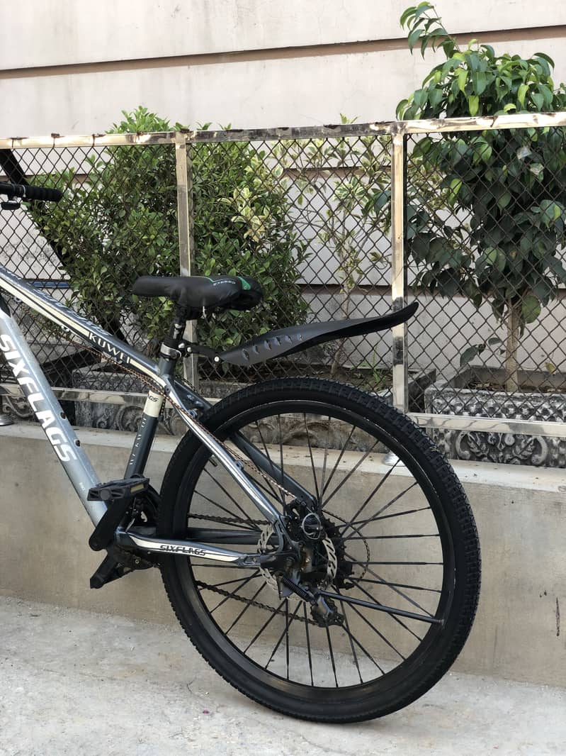Cycle 8