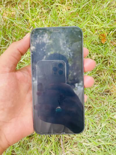 Apple iPhone 12