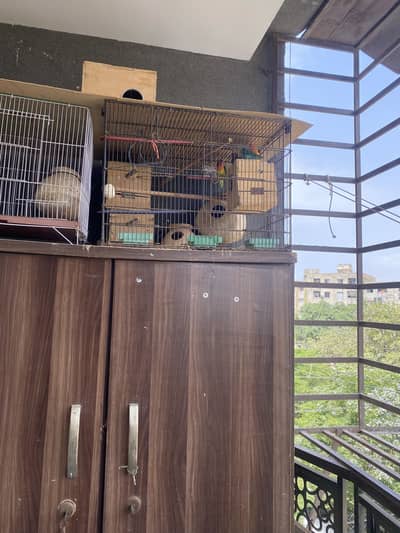 Fisher for sale