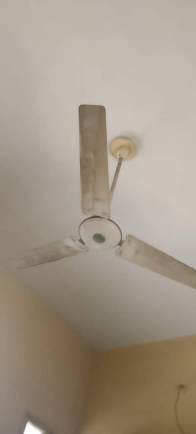 Fans for sale (working condition)