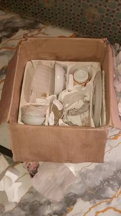 Tamchini ka dinner set