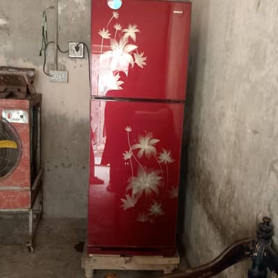 orientr single door fridge in good condition