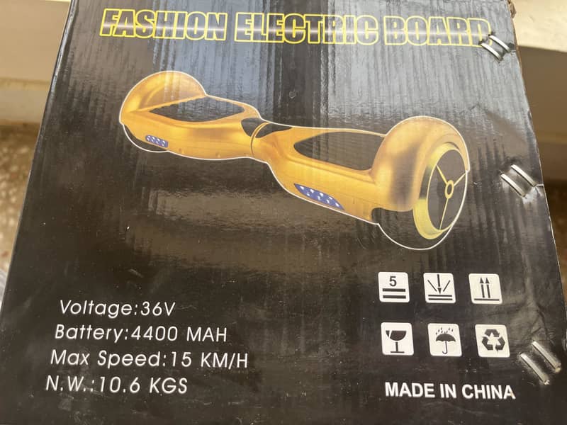 Electric Hoverboard 1