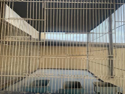 bird cage