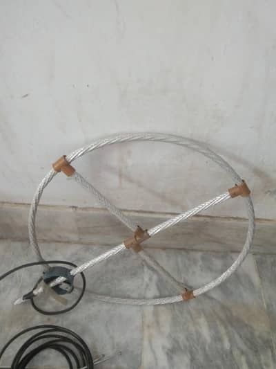local antina