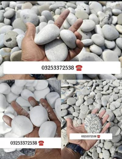 Garden Stones | Garden pebbles | plants