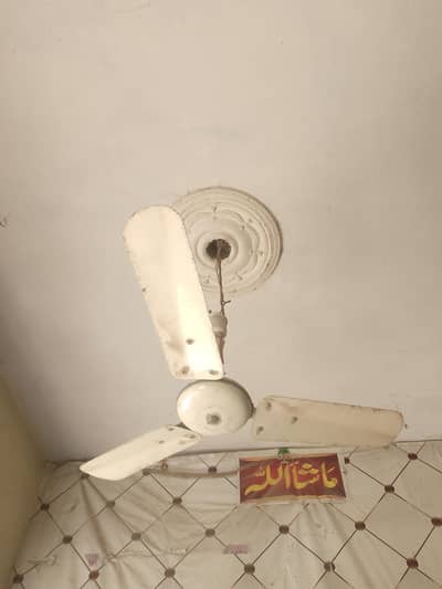 Copper fan