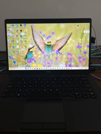 Dell Heavy Laptop | i7/8 | Fingerprint Variant + i7 Processor