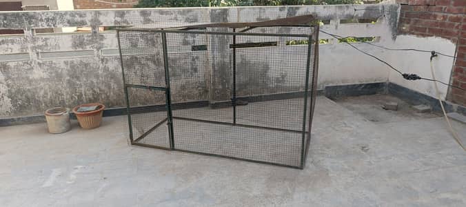 Big Size Cage