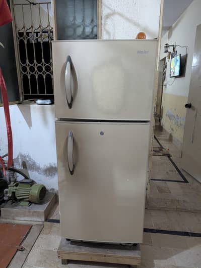 Fridge (Medium Size)