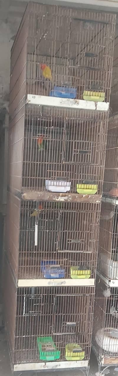 cages