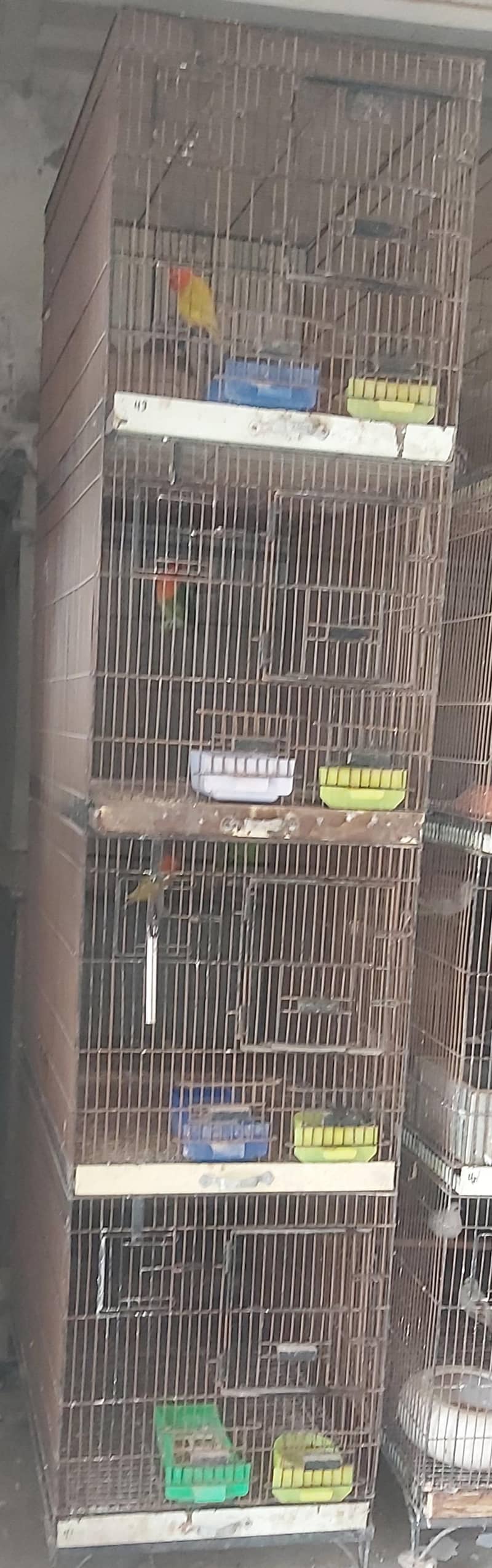 cages 0