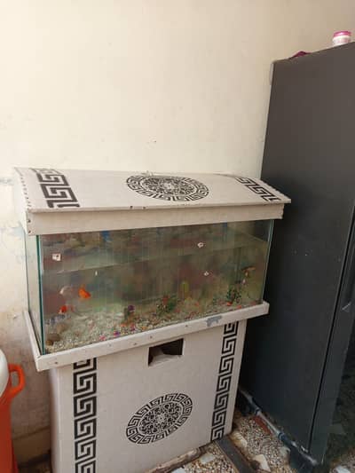 fish  sell kar my ha