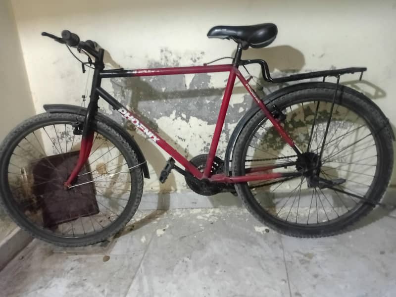 sturdy bycycle 0
