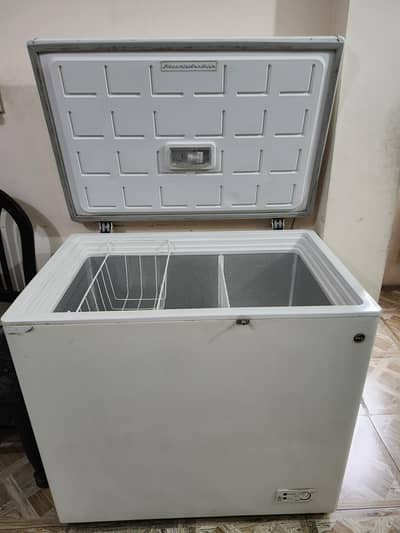 Pel Deep Freezer