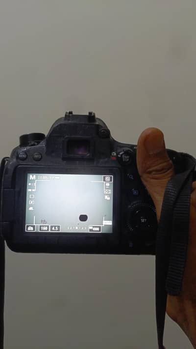 6D mark II