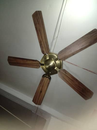 5 blades fan