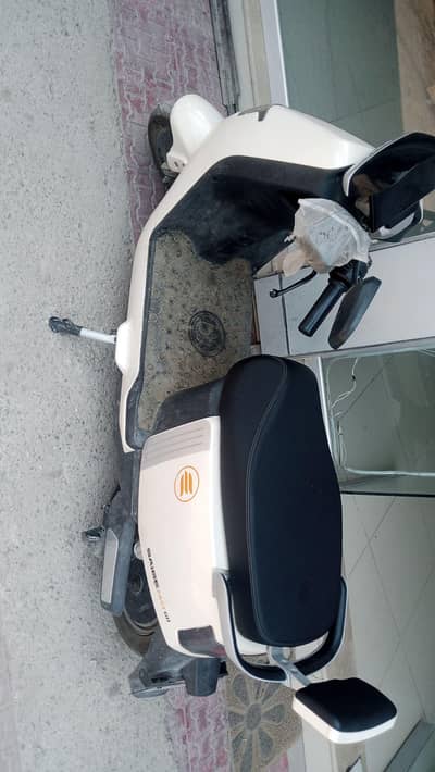 saige n300