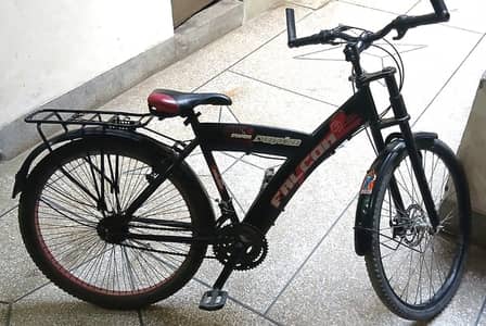 mountain bike / bicycle