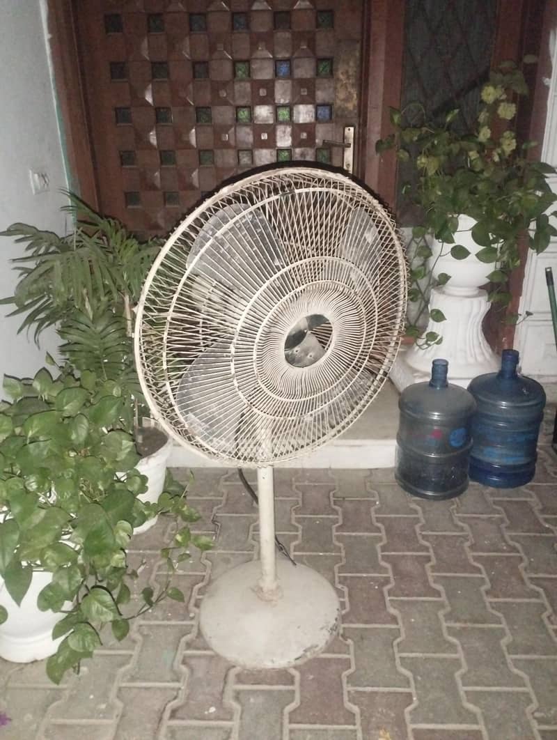 fane for sell 1