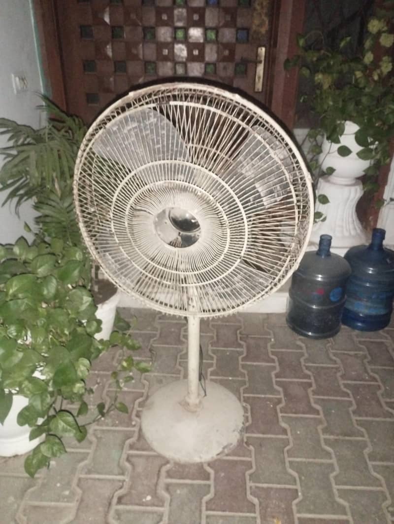 fane for sell 2