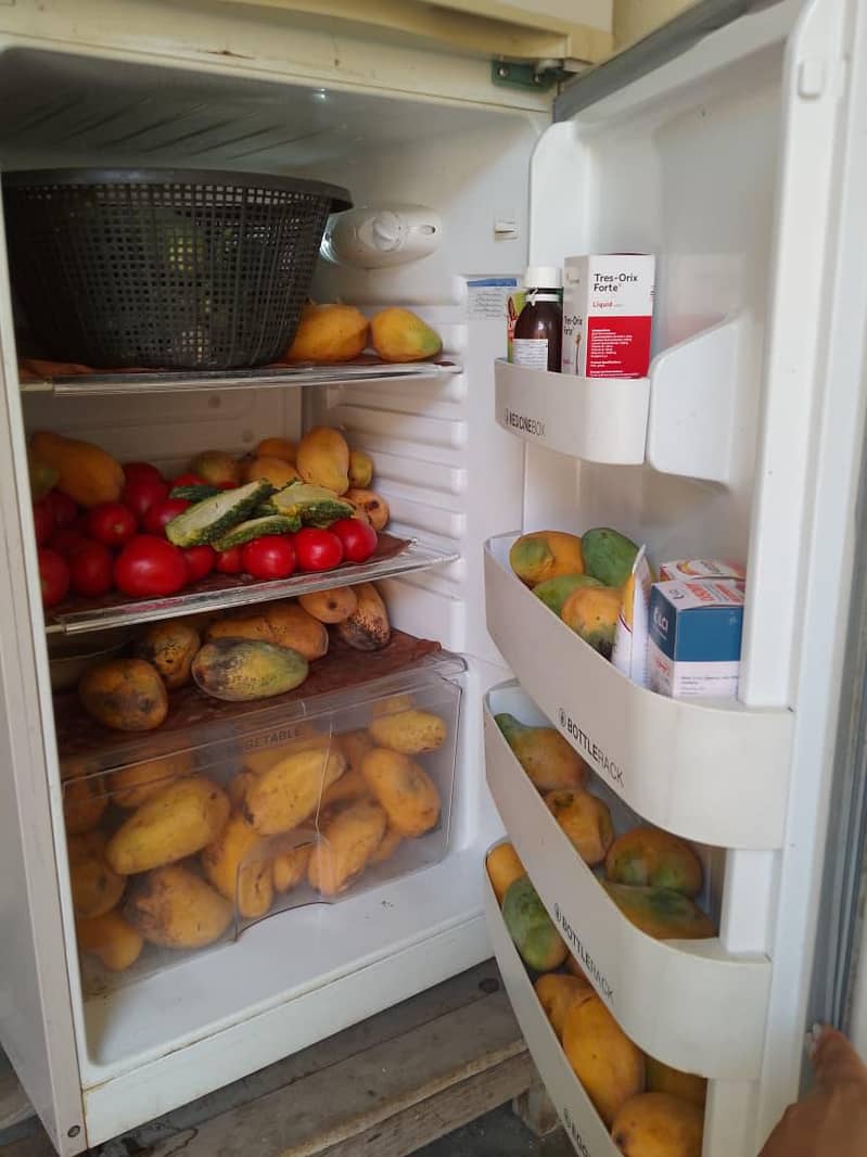 Friage 1