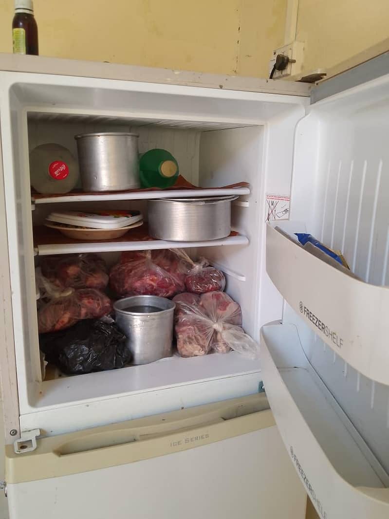 Friage 2