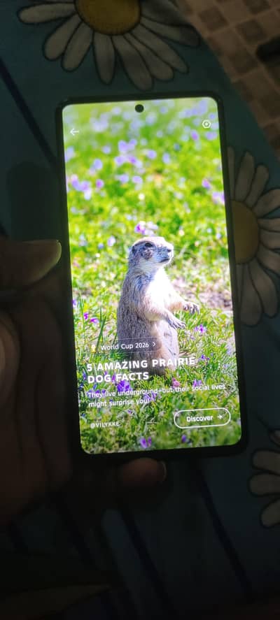 Tecno CAMON 20