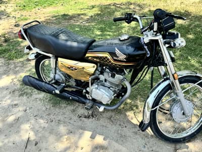 Cd 125 2023/2024 model  golden black colour