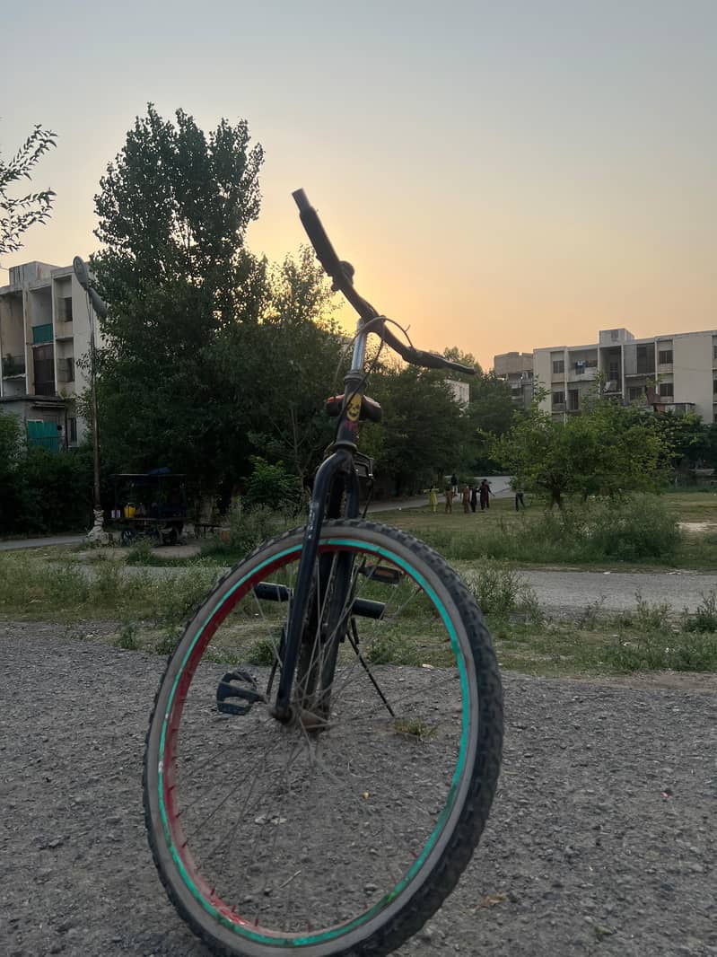 phoenix cycle 1