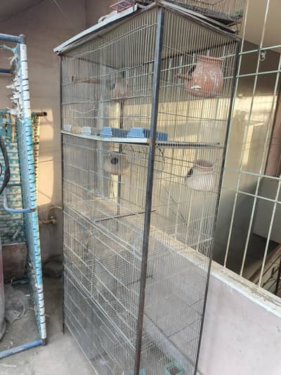 Cage For Parrots