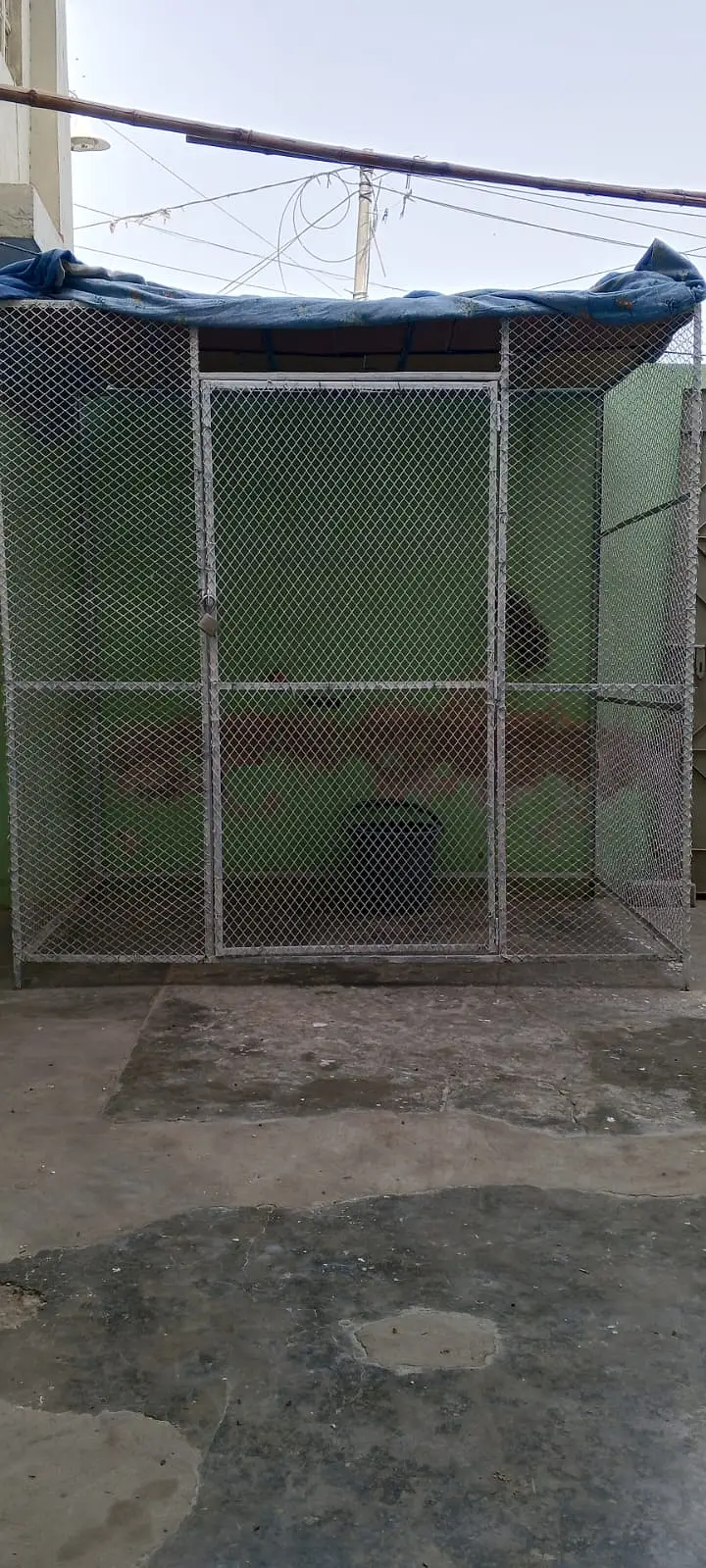 Cage for Sell — photo 2