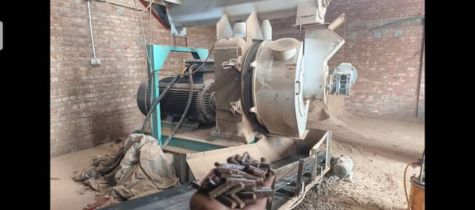 Biomass wood pellet