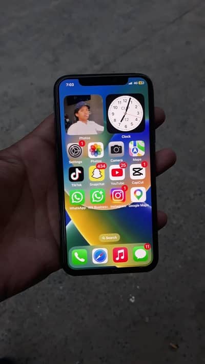 Apple iPhone X